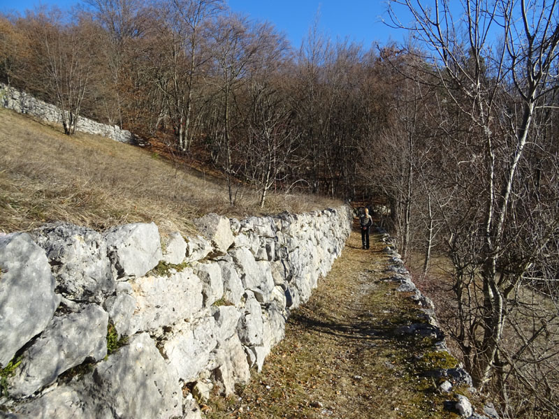 Escursioni sul Finonchio - sentiero F6